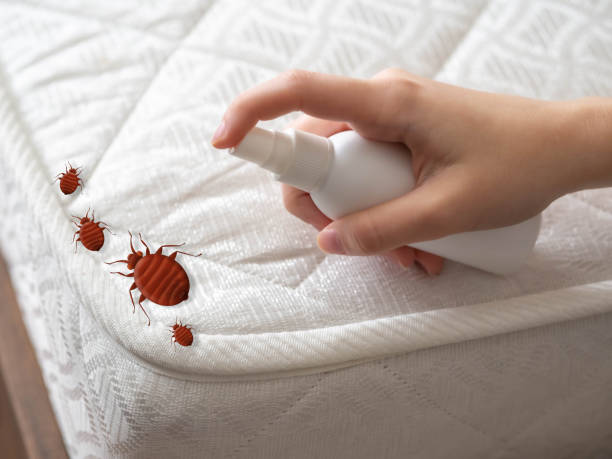 Best Bed Bug Extermination  in Howard City, MI